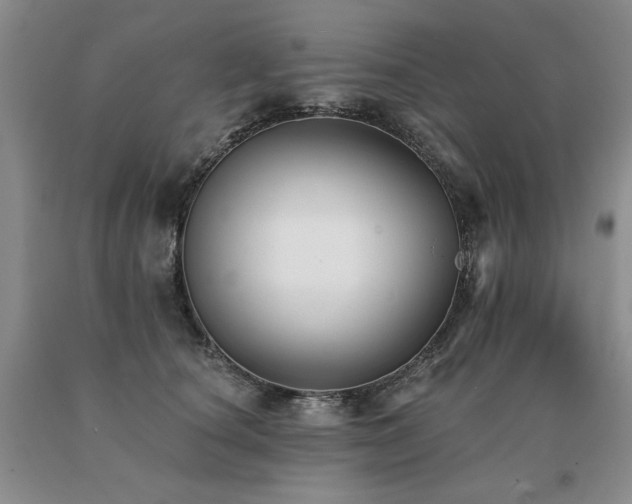 X0000091070660200708061303