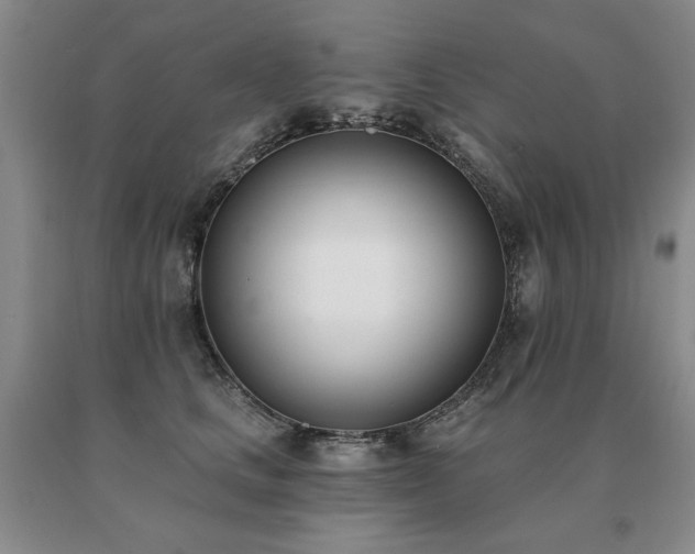 X0000091070661200708061303