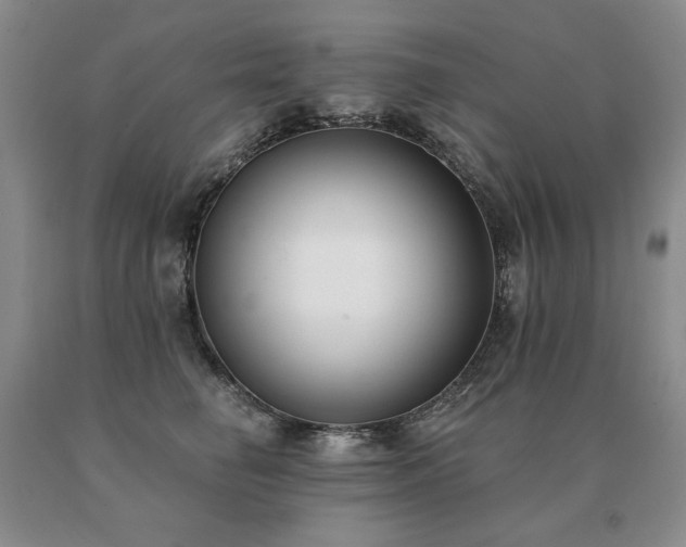 X0000091070662200708061303