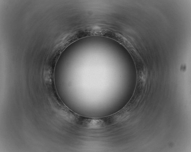 X0000091070663200708061303