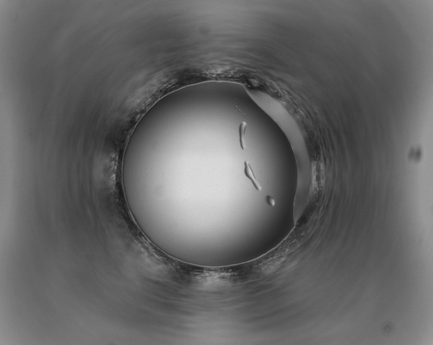 X0000091070664200708061303