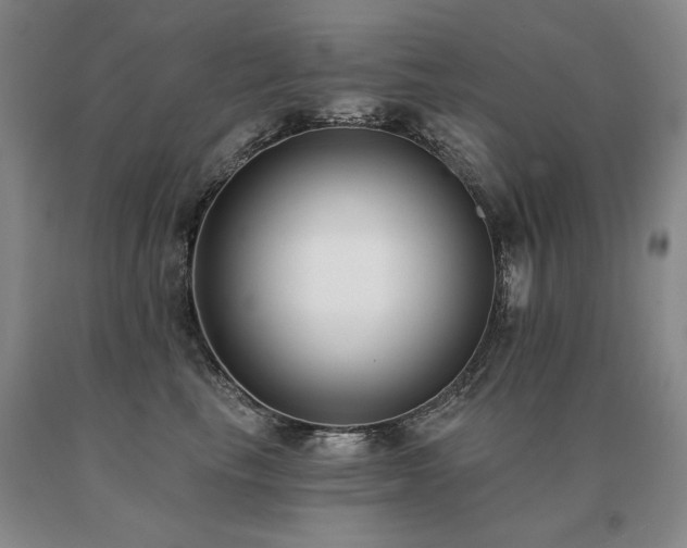 X0000091070665200708061303
