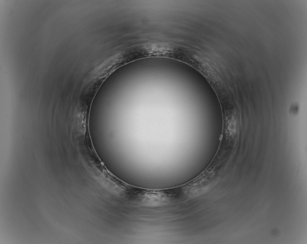 X0000091070666200708061303