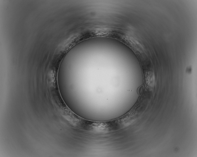 X0000091070667200708061303