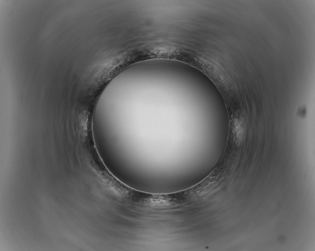 X0000091070668200708061303