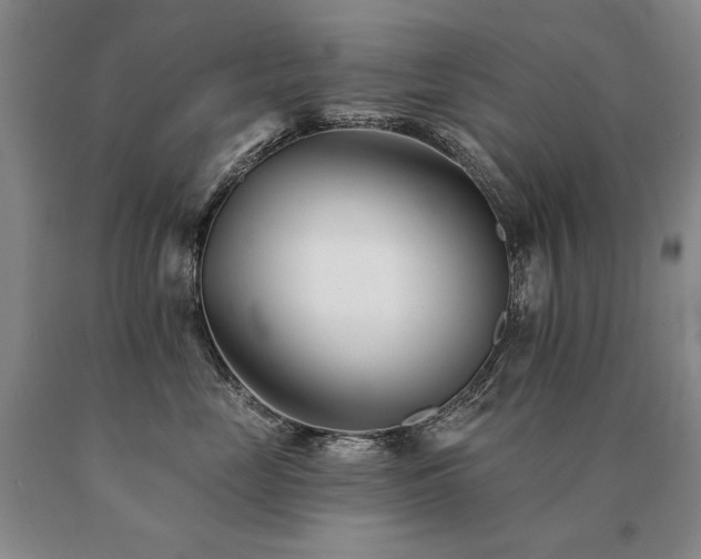 X0000091070669200708061303