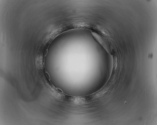 X0000091070670200708061303