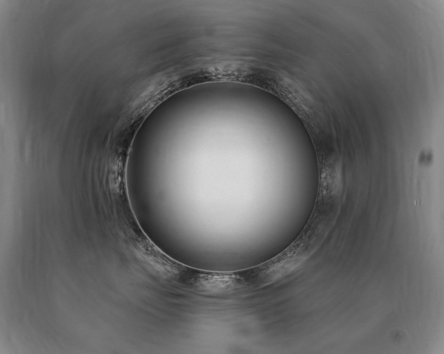 X0000091070671200708061303