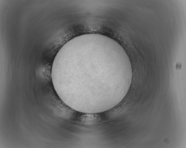 X0000091070672200708061303