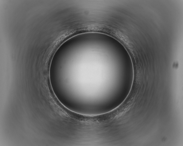 X0000091070673200708061302