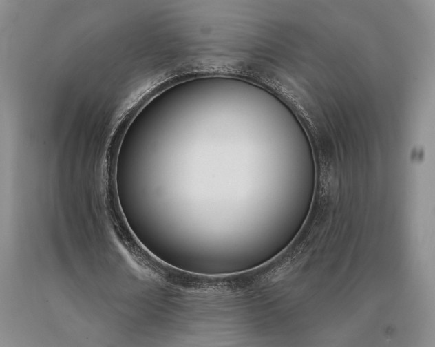 X0000091070674200708061302