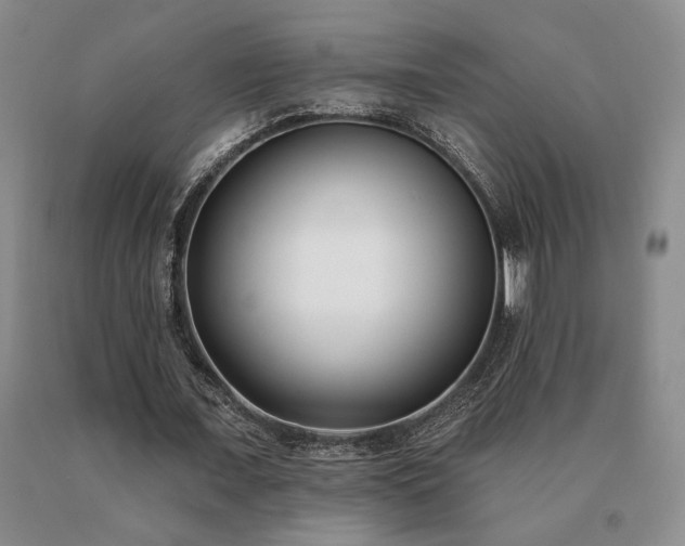 X0000091070675200708061302