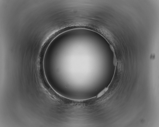 X0000091070676200708061302