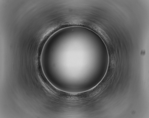 X0000091070677200708061302