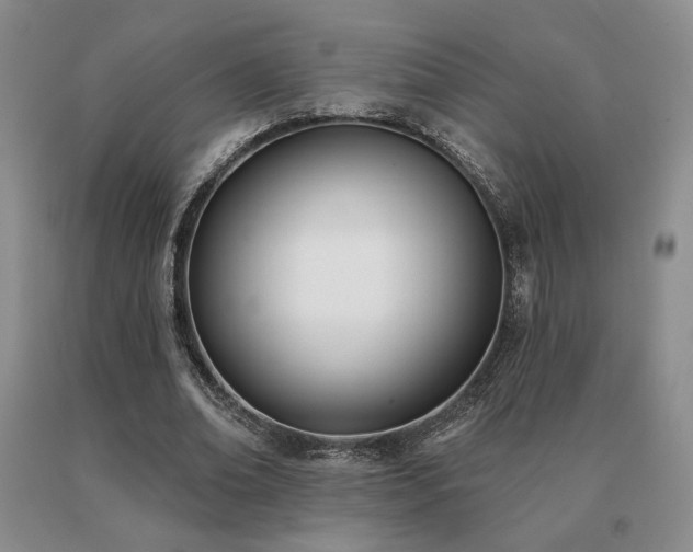 X0000091070678200708061302