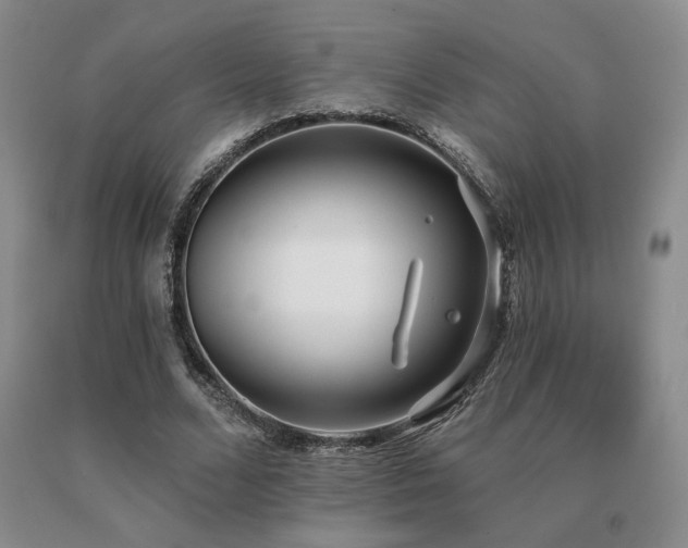 X0000091070680200708061302