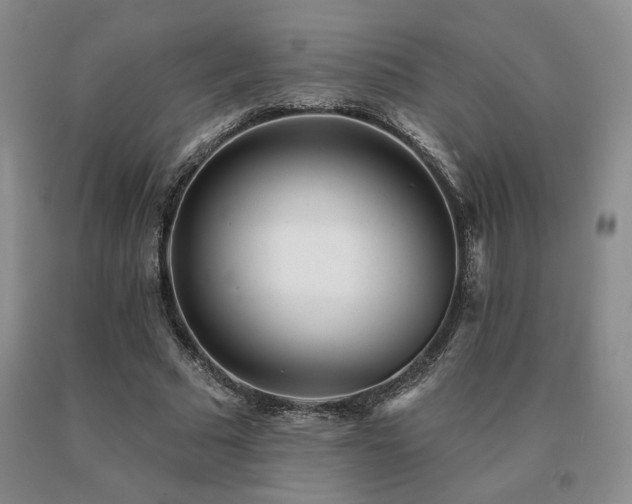 X0000091070681200708061302