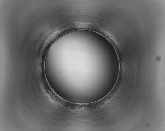 X0000091070682200708061302
