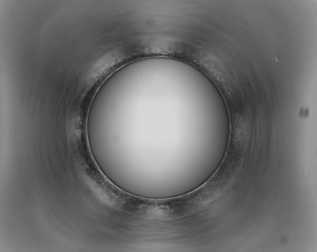 X0000091070683200708061302