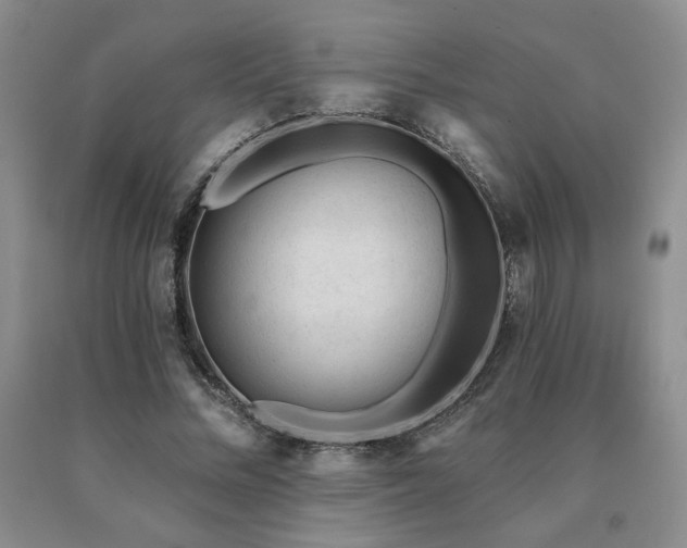 X0000091070684200708061302
