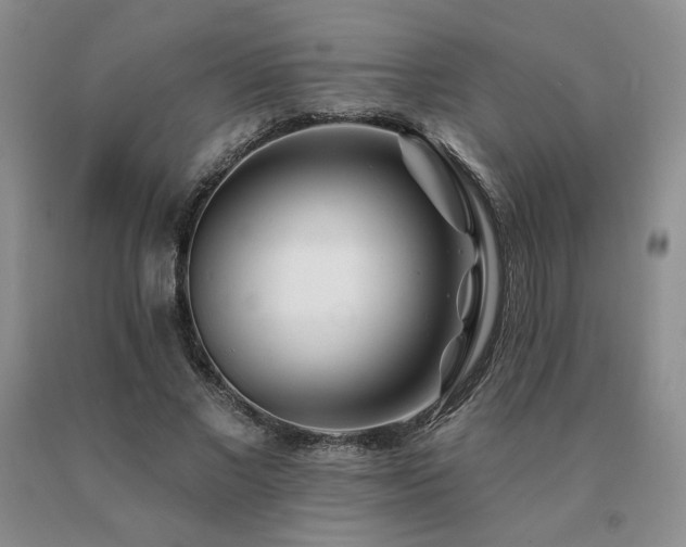 X0000091070685200708061302