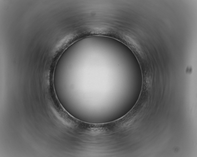 X0000091070686200708061302