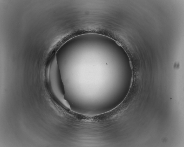 X0000091070688200708061302