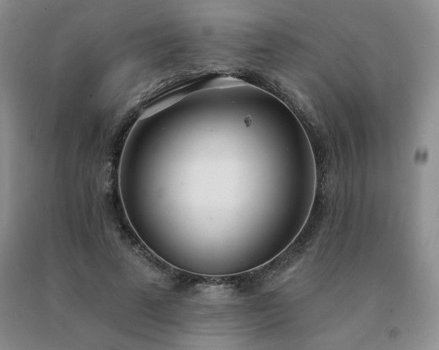 X0000091070689200708061302