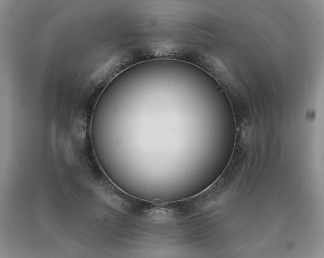 X0000091070691200708061302