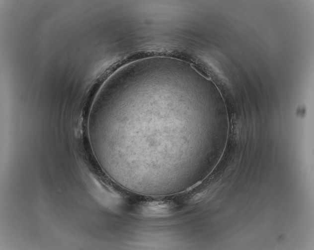 X0000091070692200708061302