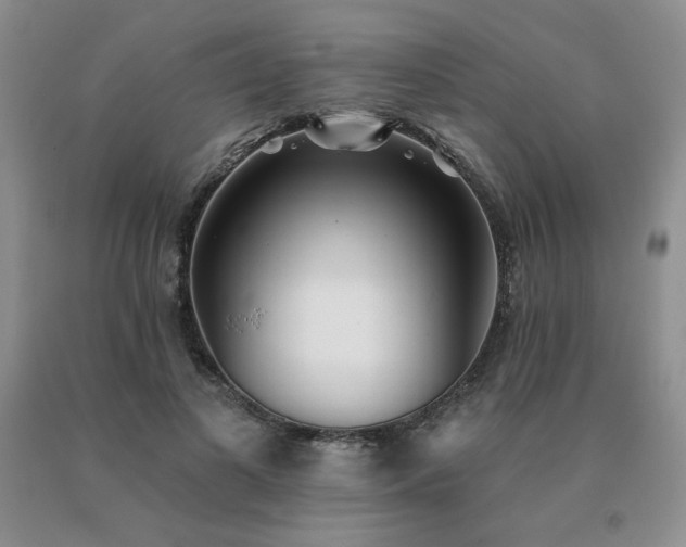 X0000091070693200708061302