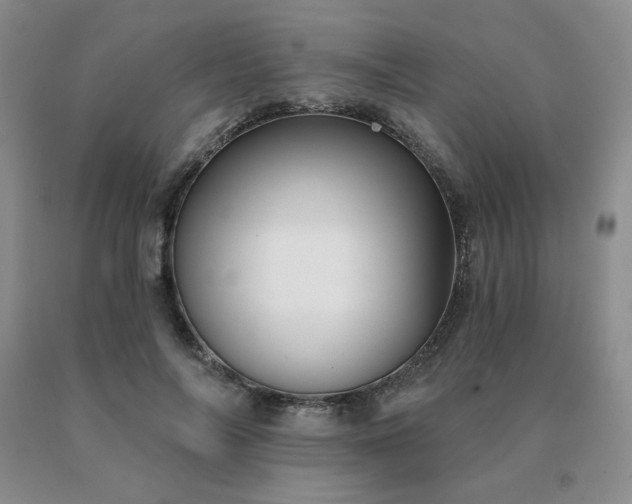 X0000091070694200708061302