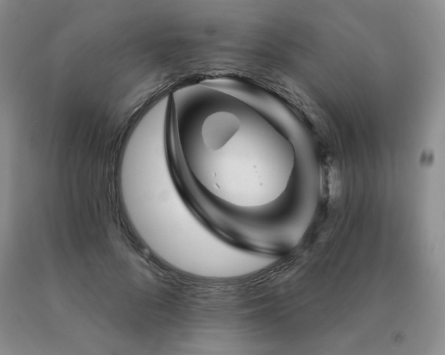 X0000091070696200708061302