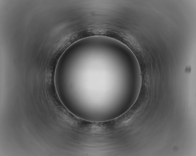 X0000091070697200708061302