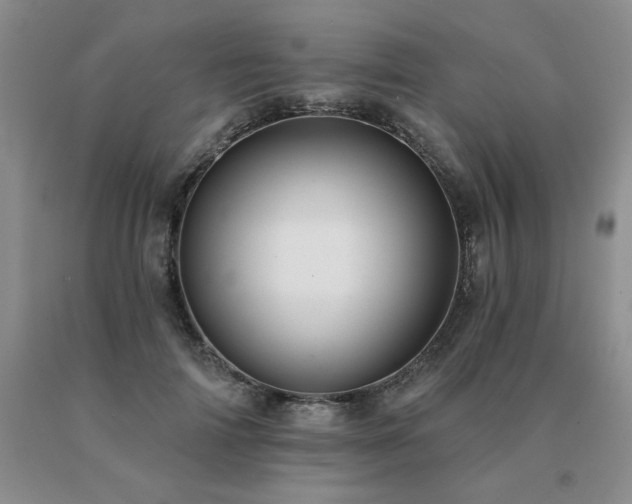 X0000091070698200708061302