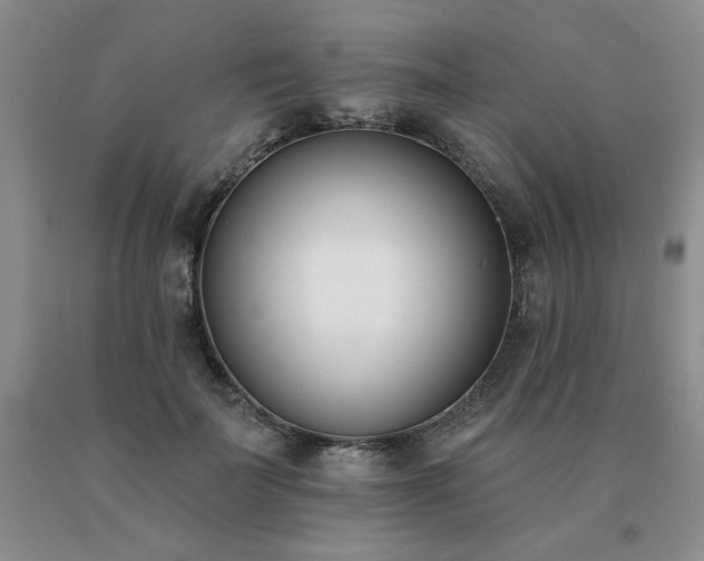 X0000091070699200708061302