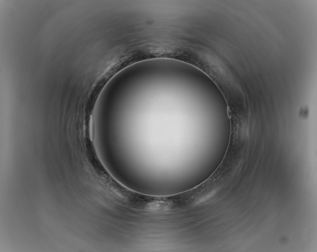 X0000091070700200708061302