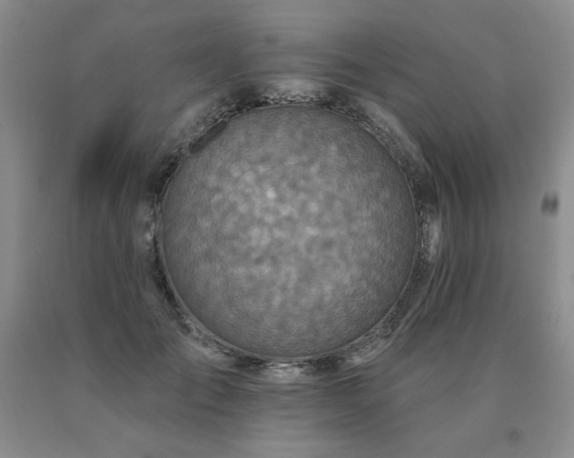X0000091070701200708061302