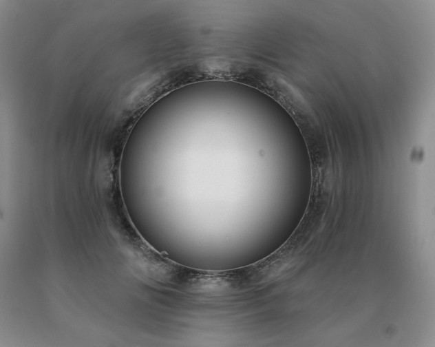 X0000091070702200708061302