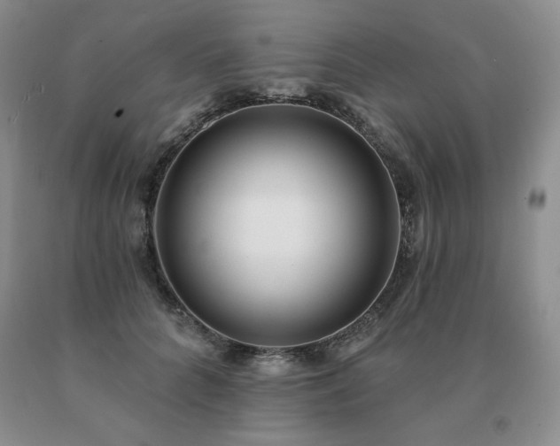 X0000091070704200708061302