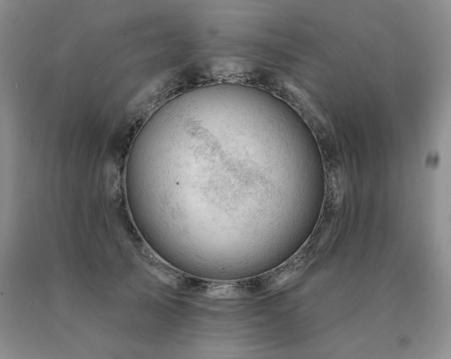 X0000091070705200708061302