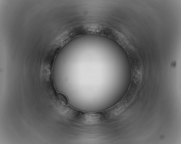 X0000091070707200708061302