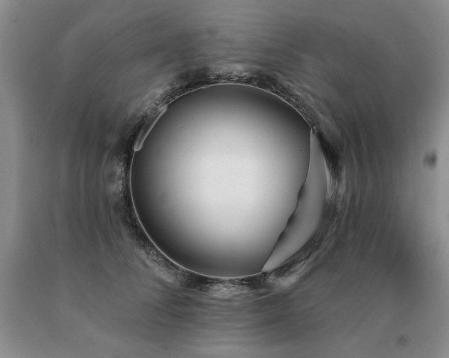 X0000091070708200708061302