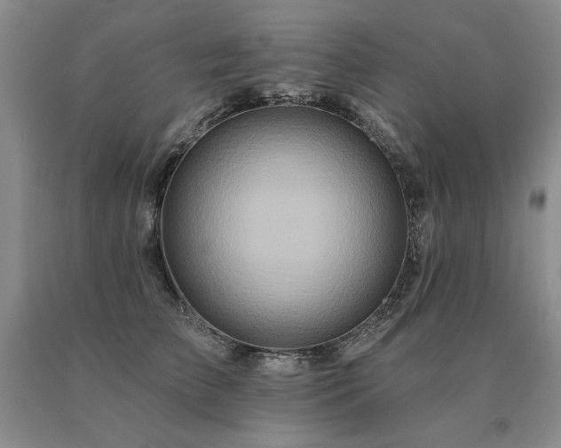 X0000091070709200708061302