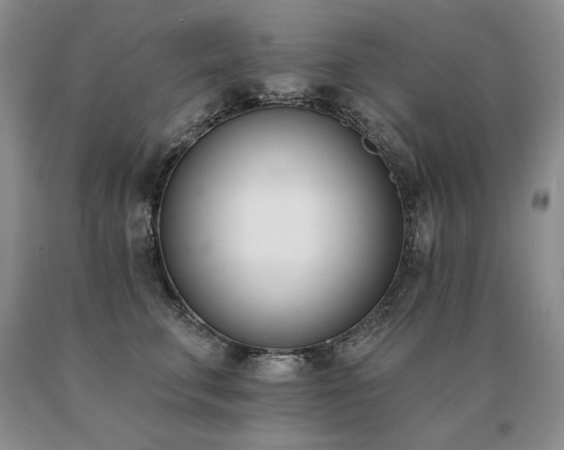 X0000091070711200708061302