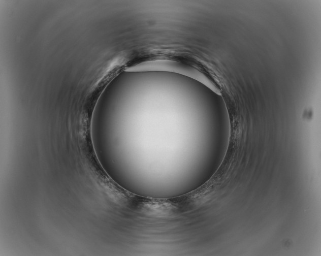 X0000091070712200708061302