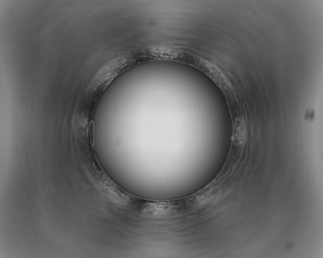 X0000091070713200708061302