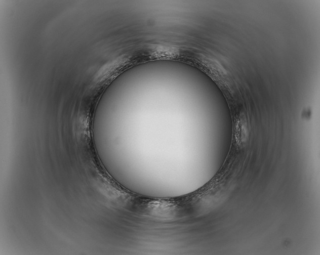 X0000091070714200708061302