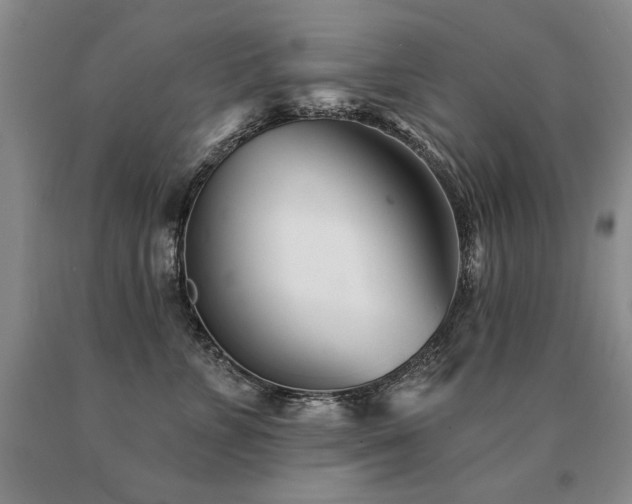 X0000091070715200708061302