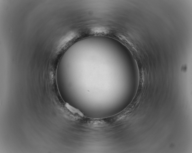 X0000091070716200708061302